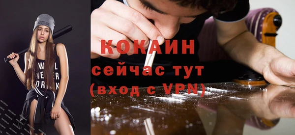 apvp Богородицк