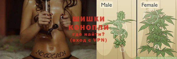 хмурый Богданович