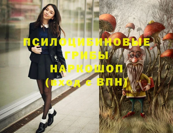 apvp Богородицк