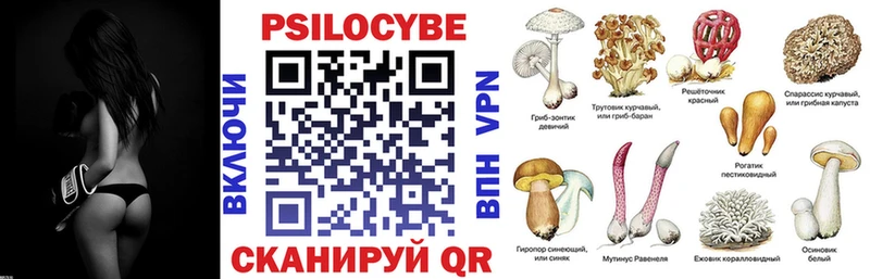 Галлюциногенные грибы Cubensis  Няндома 